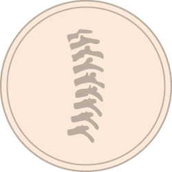 spine icon